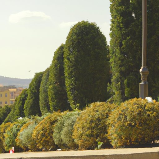 Trapianto di piante a Perugia